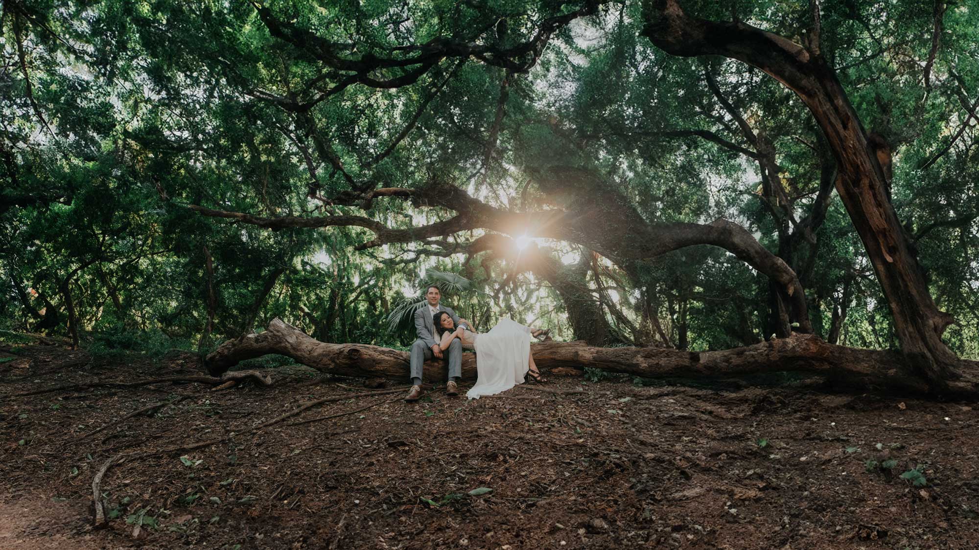 maui photographer