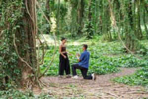 Maui Proposal Photo Session