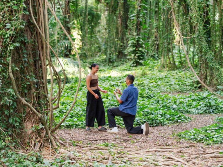 Maui Proposal Photo Session