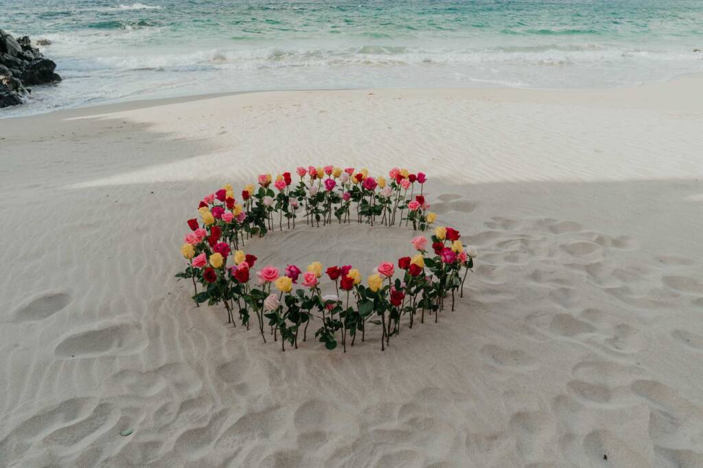 maui proposal