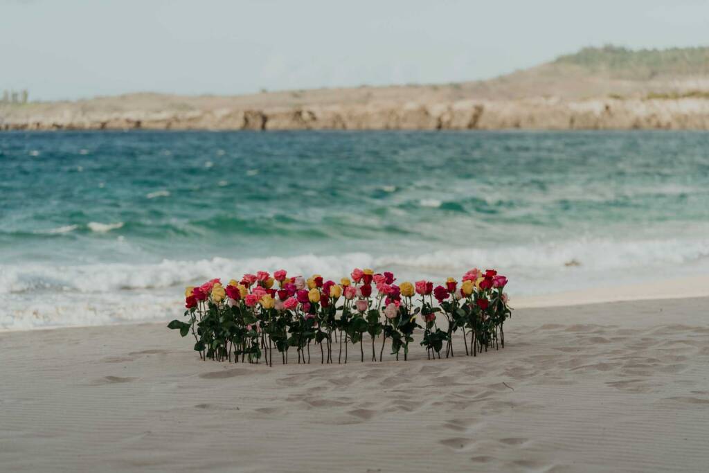 Proposal photos Maui