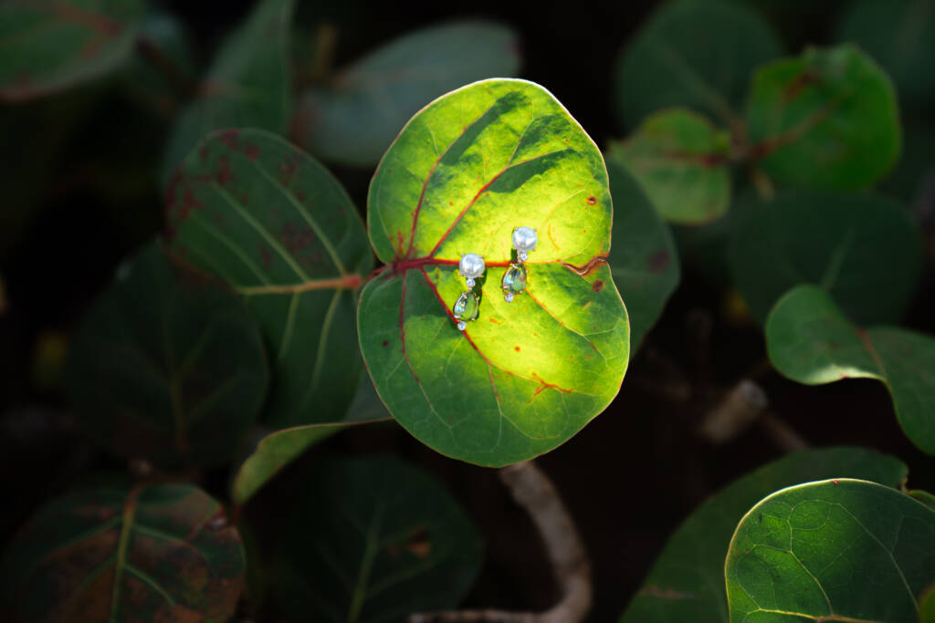 maui wedding photographer