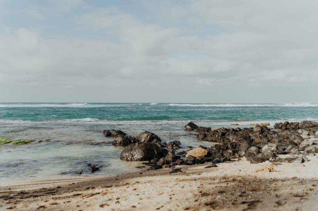 Surprise proposal in maui hawaii